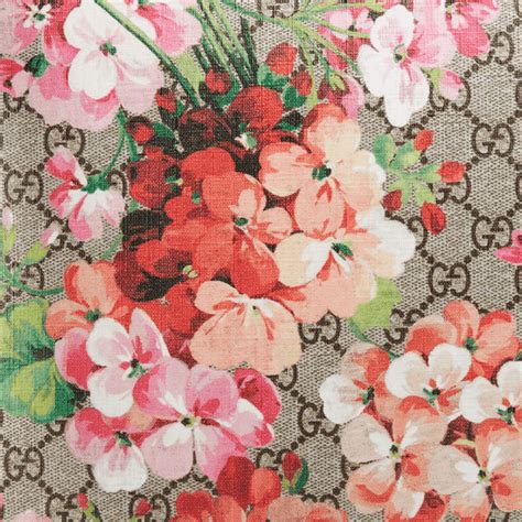 gucci wallpaper floral|gucci floral background.